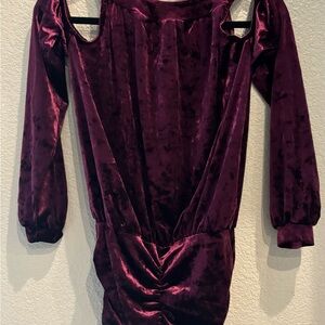 Elegant Velvet Off-Shoulder Dress in Purple